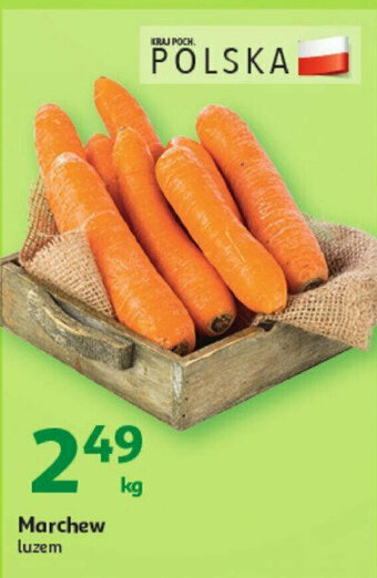 Auchan Marchew 1kg oferta