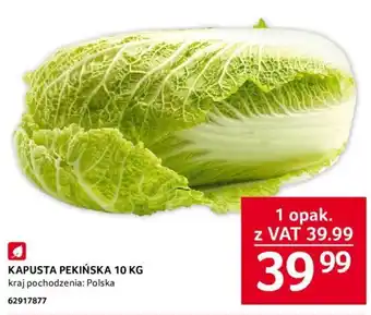 Selgros KAPUSTA PEKIŃSKA 10 KG oferta