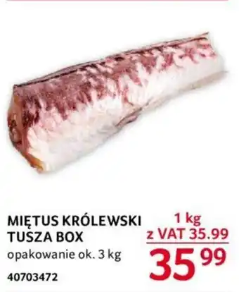 Selgros MIĘTUS KRÓLEWSKI TUSZA BOX 1kg oferta