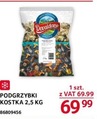Selgros PODGRZYBKI KOSTKA 2,5 KG oferta