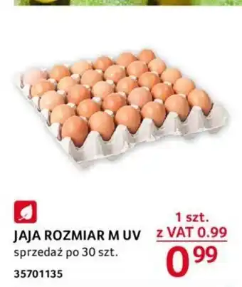 Selgros JAJA ROZMIAR M UV oferta