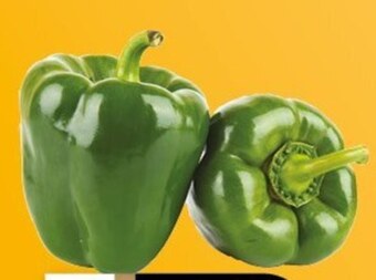 Chata Polska Papryka oferta