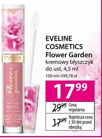 Hebe Błyszczyk do ust eveline oferta