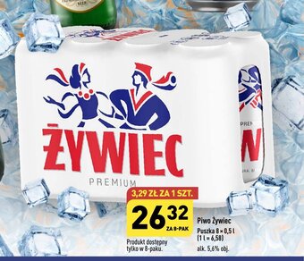 ALDI Piwo Żywiec Puszka 8 × 0,5 l oferta