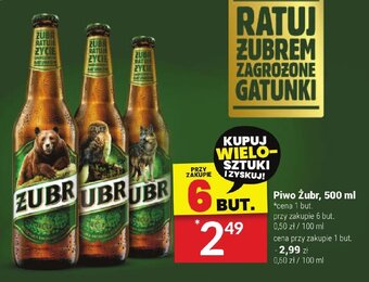 Twój Market Piwo Żubr, 500 ml oferta