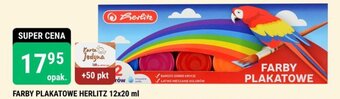 bi1 FARBY PLAKATOWE HERLITZ 12x20 ml oferta
