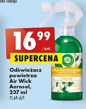 Biedronka Odświeżacz powietrza rosa & biały jaśmin oferta