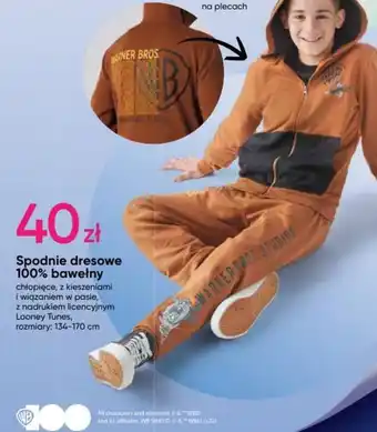 Pepco Spodnie dresowe 100% bawełny oferta