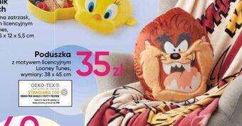 Pepco Poduszka oferta