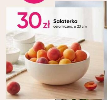 Pepco Salaterka oferta