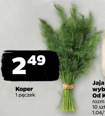 Netto Koper oferta