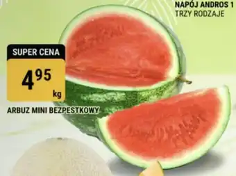 bi1 ARBUZ MINI BEZPESTKOWY 1 kg oferta