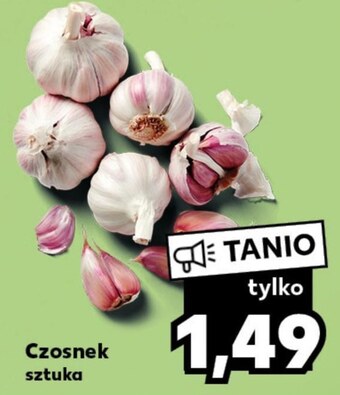 Kaufland Czosnek oferta