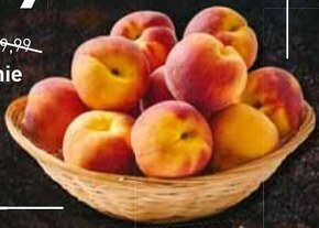 Stokrotka Brzoskwinia oferta