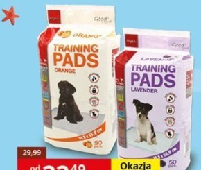 Kakadu Mata dla psa dog fantasy oferta