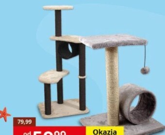 Kakadu Drapak dla kota magic cat oferta