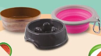 Kakadu Miska dla psa dog fantasy oferta