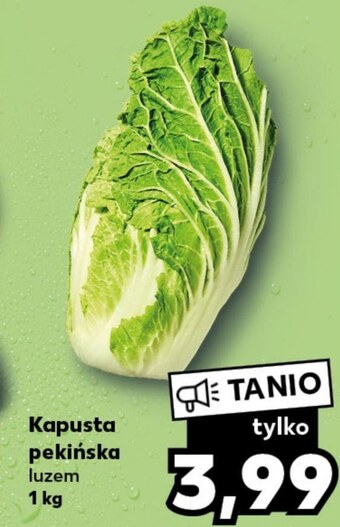 Kaufland Kapusta pekińska oferta