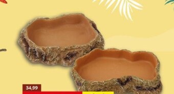 Kakadu Dekoracje do terrarium repti planet oferta