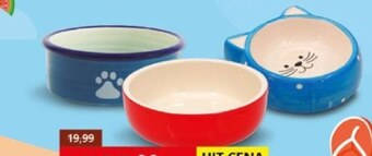 Kakadu Miska dla kota magic cat oferta