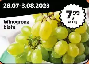 Odido Winogrona oferta