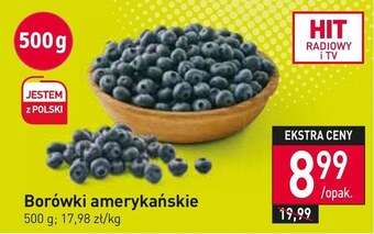 Stokrotka Borówki amerykańskie oferta
