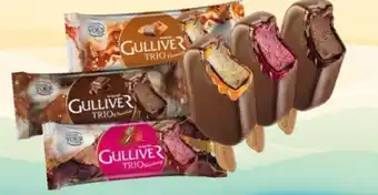 Selgros Lody gulliver oferta