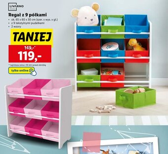 Lidl LIVARNO Regał z 9 półkami oferta