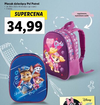 Lidl Plecak dziecięcy Psi Patrol oferta