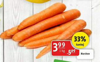 Prim Market Marchew 1 kg oferta