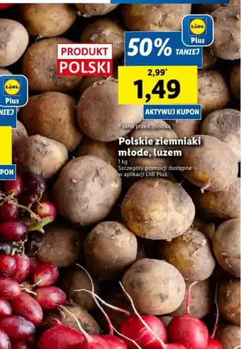 Lidl Polskie ziemniaki młode, luzem 1kg oferta