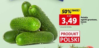 Lidl Polskie ogórki gruntowe, luzem 1 kg oferta