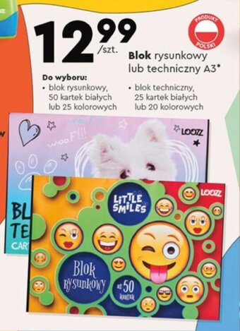 Biedronka Blok rysunkowy lub techniczny A3* oferta