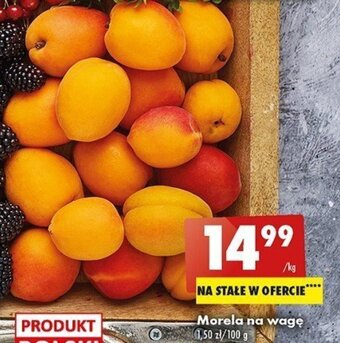 Biedronka Morela 1kg oferta