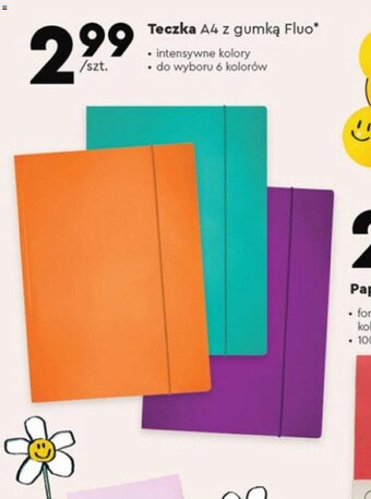 Biedronka Teczka A4 z gumką Fluo* oferta