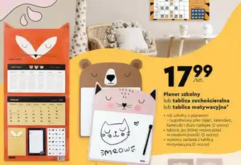 Biedronka Planer szkolny lub tablica suchościeralna lub tablica motywacyjna* oferta