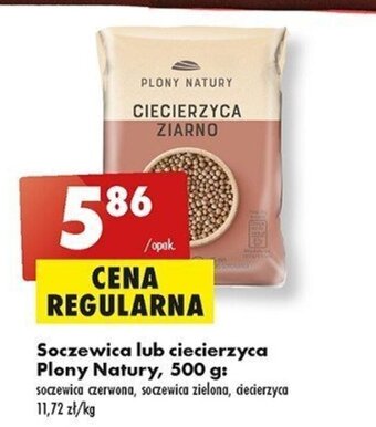 Biedronka Soczewica lub ciecierzyca Plony Natury, 500 g oferta