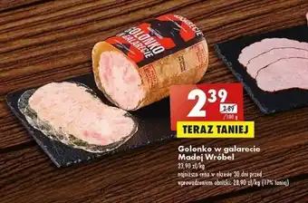 Biedronka Golonko w galarecie Madej Wróbel 100 g oferta