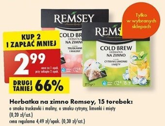 Biedronka Herbatka na zimno Remsey, 15 torebek: oferta