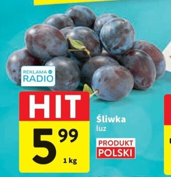 Intermarche Śliwka luz 1 kg oferta