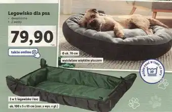 Lidl Legowisko dla psa oferta