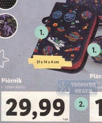 Lidl Piórnik oferta