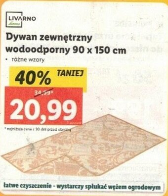 Lidl Dywan zewnętrzny wodoodporny 90 x 150 cm oferta