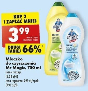 Biedronka Mleczko do czyszczenia Mr Magic, 750 ml oferta