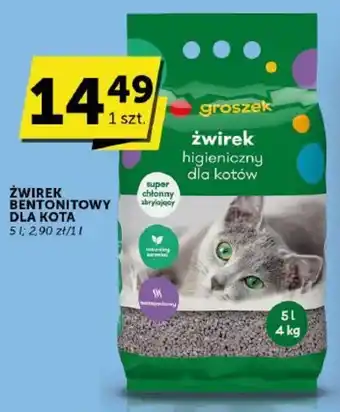 ŻWIREK BENTONITOWY DLA KOTA 5l