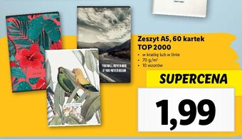 Lidl Zeszyt a5/60 k. kratka oferta