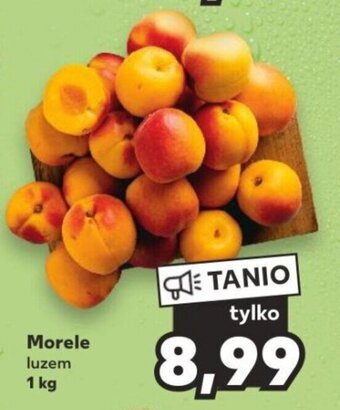 Kaufland Morele luzem 1 kg oferta