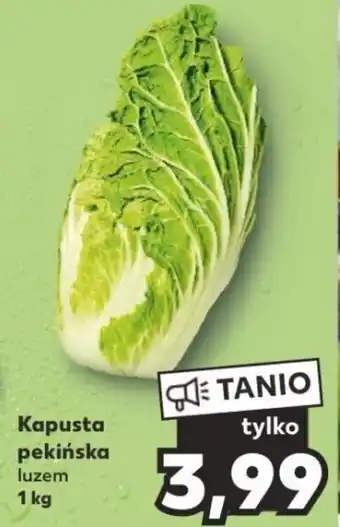 Kaufland Kapusta pekińska 1 kg oferta