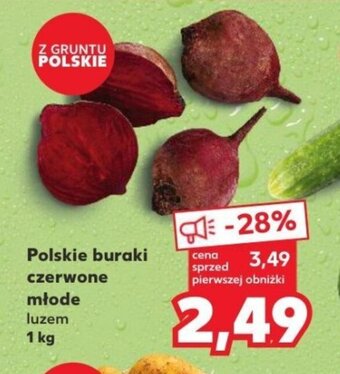Kaufland Polskie buraki czerwone młode 1 kg oferta