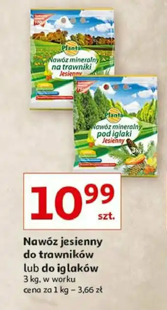 Auchan Nawóz jesienny do trawnika 1 SZT 3 KG oferta